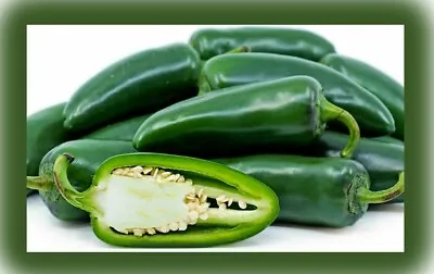 Organic HOT PEPPER Seeds -JALAPEÑO Early- Heirloom -Non GMO UK Premium Seeds X10 • £3.99