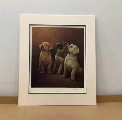 £69.99 • Buy Nigel Hemming - Guiding Lights - Open Edition Print - Signed