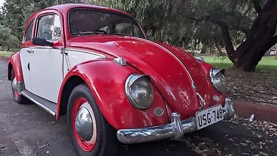 VW Beetle 1961 • $7800