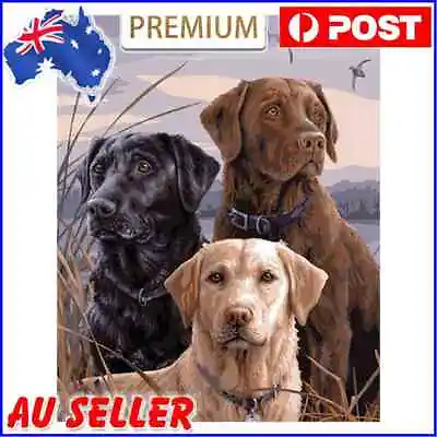 $9.65 • Buy 5D DIY Full Drill Diamond Painting Dog Cross Stitch Embroidery Mosaic Craft AU