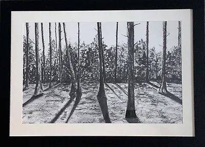 Forest Woods Trees Landscape. Charcoal Drawing On Paper. Framed. UK Artist.  • £85