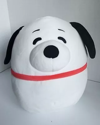 SNOOPY Squishmallows - Medium Plush (10 Inch Peanuts Asst - Snoopy) NWT • $17.99