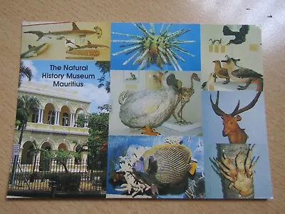 MAURITIUS National History Museum Postcard P2230 • £6.99