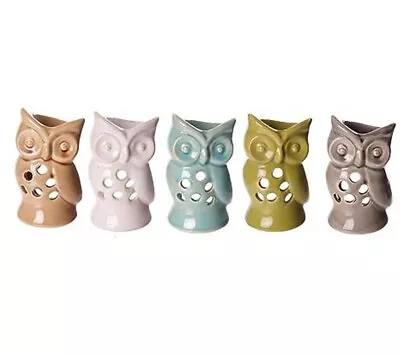 20 Pis Puckator Multicolored Owl Ceramic Oil Burner - Multicolored (OB-199) • £99.99