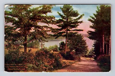 Muskoka Lakes Ontario-Canada Natures Solitude Vintage Souvenir Postcard • $7.99