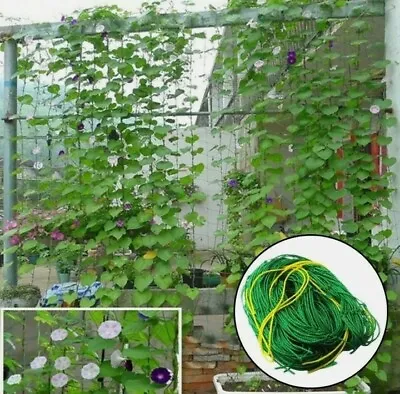 £5.95 • Buy Plant Support Mesh Garden Net Vegetable Fruit Climbing Netting Pea Bean Trellis