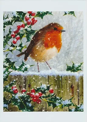 Winter Snow ROBIN RED BREAST Garden Bird Old World Flycatcher Family Art Print • £1.25