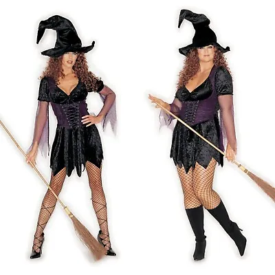 Shirley Of Hollywood Halloween Witch Costume Women Sexy Designer Fancy Dress • £34.95