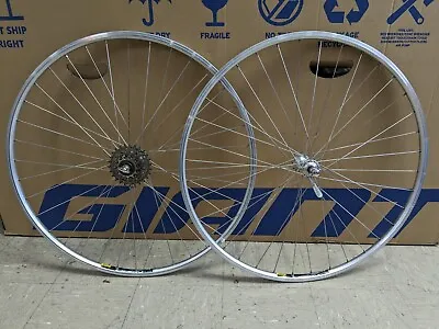 700c Road Wheelset Campagnolo Record Hubs To Mavic Open Elite 126 Freewheel 6spd • $300