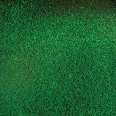 128AV Aventurine Green 12x12   OGT System 96 COE Fusing Glass Sheet 96COE • $24.14