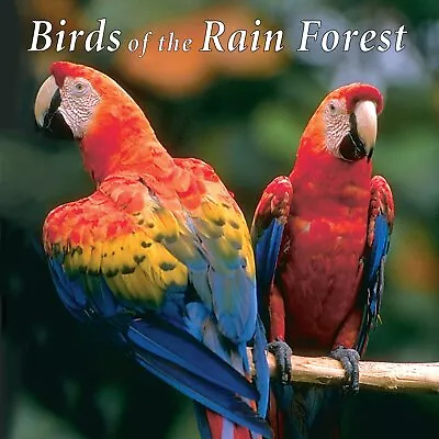 Birds Of The Rain Forest - NATURESCAPES • $7.98