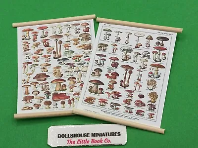 Dolls House 1:12 Scale Miniature Hanging Wall Charts Mushrooms  • £1.99