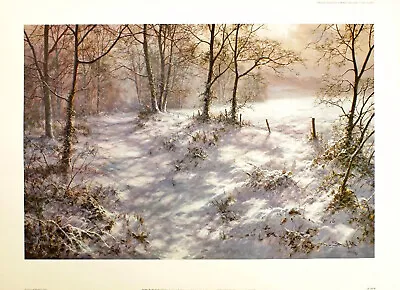 David Dipnall  Where Bluebells Grow  Landscape Limited Edition Sunlight Brown • £39.99
