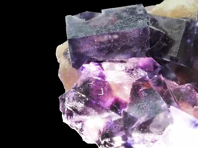 Cabinet Zoned FLUORITE *Yindu Inner Mongolia China* • $35