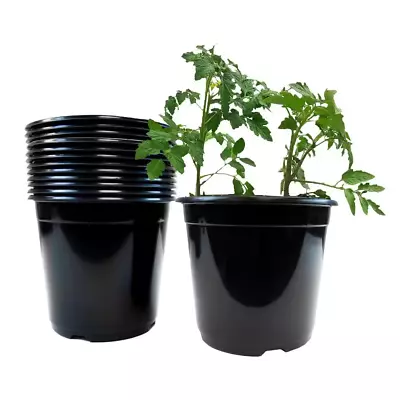 2 Gal Black Plastic Nursery Pots 12-Pack Black Drainage Holes Indoor Outdoor New • $37.38