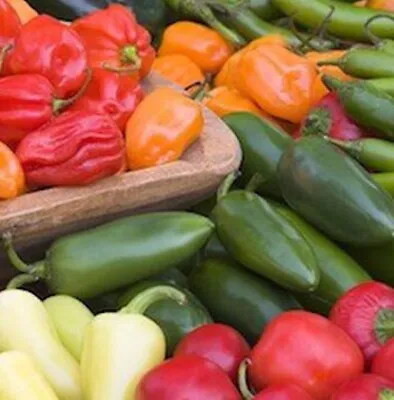 100++ Pepper Seeds - Mixed Peppers Seeds- Ghost Habanero Jalapeños AND More US • $1.99
