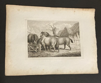 £9.99 • Buy Etching By Samuel Howitt HORSES