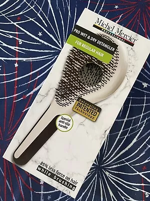 Michel Mercier Limited Edition Pro Wet & Dry Detangler Brush - Regular  Hair #22 • $15