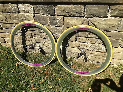 Vintage Campagnolo Shamal 700c Clincher Wheel Set - Excellent Condition • $900