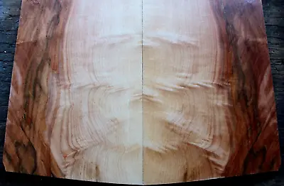 5a Curly Spalted Ambrosia Flame Maple Drop Top .33 Thk Guitar Bass Tonewood 2255 • $69.99