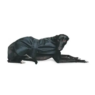 Ancol Muddy Paws Greyhound Thermal Dog Jacket Waterproof Warm Coat All Weather • £23.90