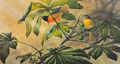 Michael Dumas - Chestnut Glow Northern Orioles - 500 S/N  Lmited Edition Print • $90