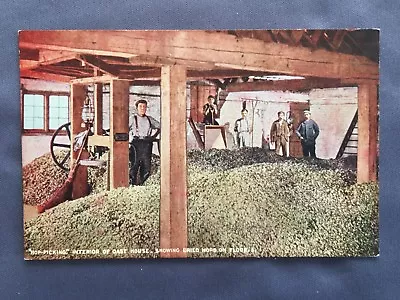 ±1910 HOP PICKING Interior Of Oast House Showing Young Cooper Maidston Kent • £17.75