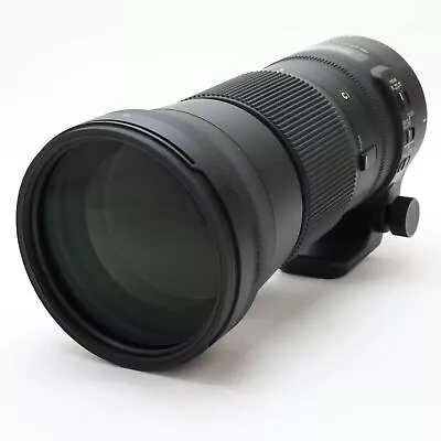 SIGMA 150-600mm F/5-6.3 DG OS HSM Contemporary (for Nikon F Mount) #283 • $1180.33