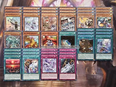 Yugioh Floowandereeze Deck 40 Cards Robina Eglen Empen Budget Tournament Ready • $49.99