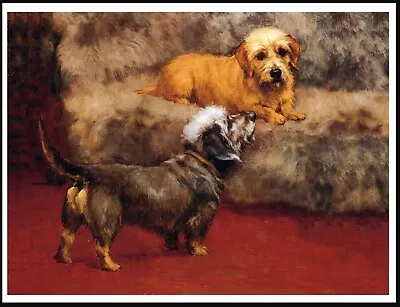 £4.99 • Buy Dandie Dinmont Terrier Dogs Lovely Vintage Style Dog Art Print Poster