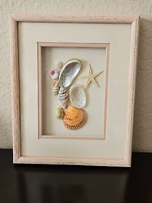 Vintage Shadow Box Sea Shell Display Framed Art • $25