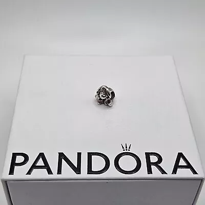 Genuine Pandora Winnie The Pooh Eeyore Enamel Charm ALE 925 #791567EN80 • £40