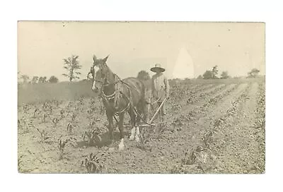 Horse-drawn Cultivator A Man Poses By A Horse-drawn Cultivator Old Photo • $5.87