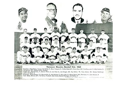 1960 Vancouver Mounties 8x10 Team Photo  Pcl  Baseball Canada  • $5.95