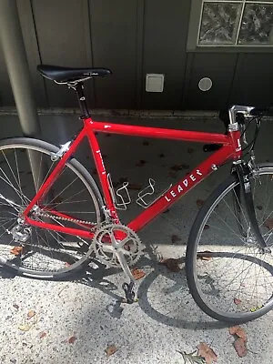 Campagnolo/ Aluminum Bike 54cm.  Slightly Used • $750