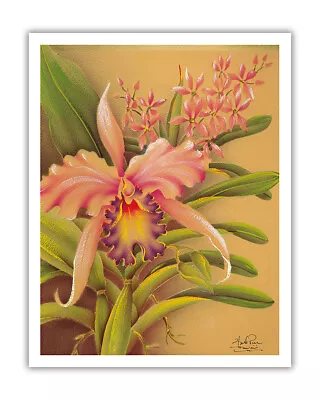 Pink Cattleya Orchid Hawaii - Vintage Hawaiian Airbrush Art By Frank Oda 1940s • $12.98