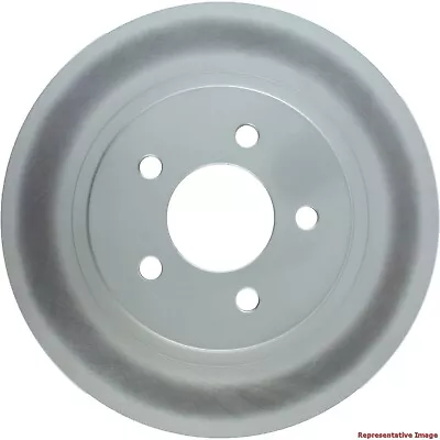 Centric Rear Disc Brake Rotor For 05-14 Ford Mustang (320.61087F) • $48.94