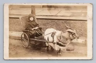 Little Boy Posing In Wicker Billy Goat Cart RPPC Antique Photo Postcard ~1910s • $9.99