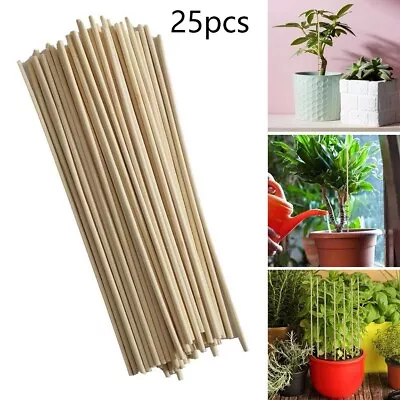 25pcs Bamboo Sticks Trellis Stakes Kit For Garden Plants Support Tomatoes Peas • £6.29