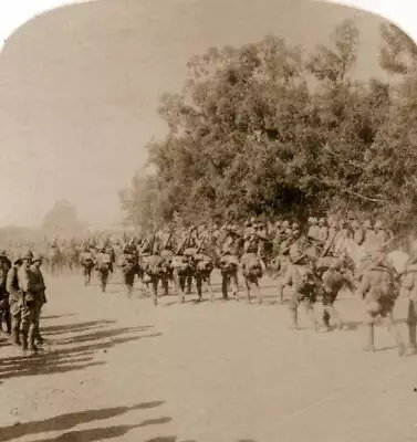 General Pole-Carew Commanding The 11th Division Watches Troops And- Old Photo • $9