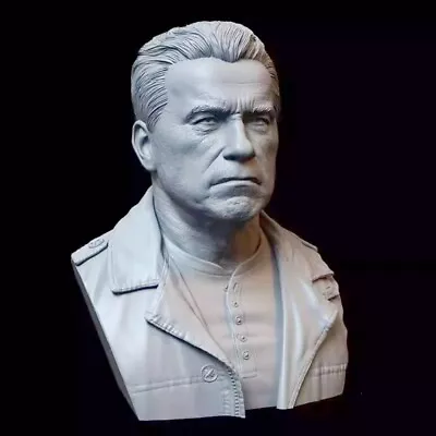 60mm Resin Bust Figures Model 3D Printing Of The Terminator Warrior Bust • $23.96