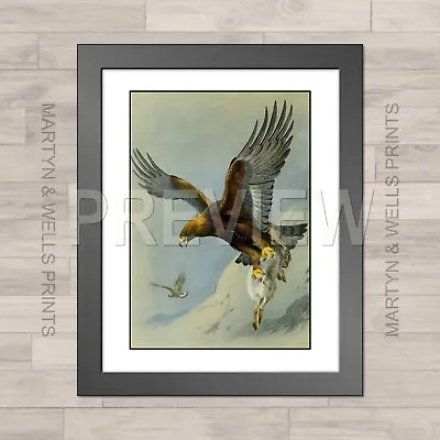 £18.84 • Buy Archibald Thorburn Framed Print: Golden Eagle. 400x325mm. Textured Canvas Paper.
