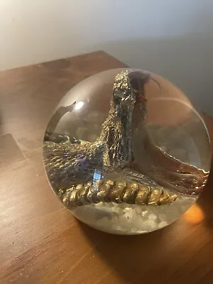 Large Rattlesnake Head And Rattler Paperweight In Lucite Vintage Taxidermy • $99