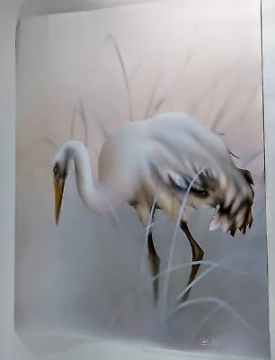 Vintage Egret In Tall Grass Carlos Rios Print 20 X16  Signed Print • $13.95