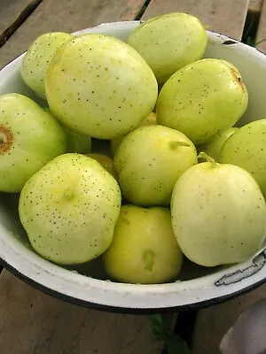 15 Crystal Apple Cucumber Seeds • £2.39