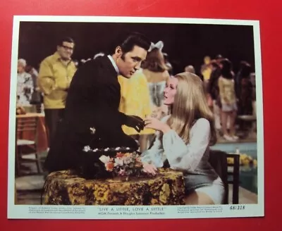 Live A Little Love A Little - Orig Color 8 X 10 Photo -1968 - Elvis Presley • $24.95