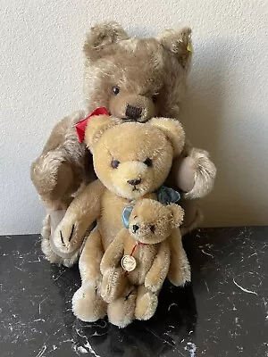 Antique Vintage Mohair Steiff Teddy Bear • $41