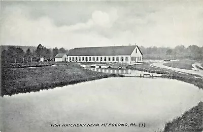 A View Of The Fish Hatchery Mount Pocono Pennsylvania PA • $8.95