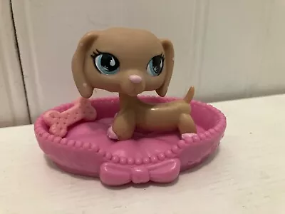 LPS #909 Authentic Rare Tan Dachshund With Pink Polka Dots (Walmart Exclusive) • $79.11