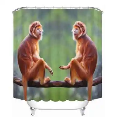 Two Monkeys Are In Tree 3D Shower Curtain Polyester Bathroom Decor  Waterproof • $22.04